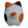 Gatinho Bolinha  tricolor
