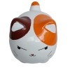 Gatinho Bolinha  tricolor