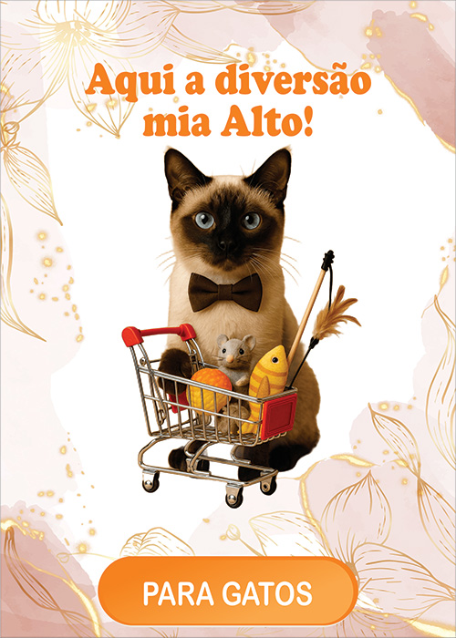 Novidades em Para Gatos
