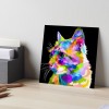 Plaquinha Gato Colorido Lemi