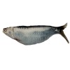 01  Sardinha recheada  com Catnip