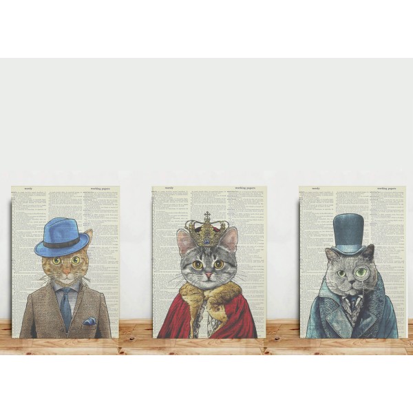 Kit 3 Placas Gatos Vintage