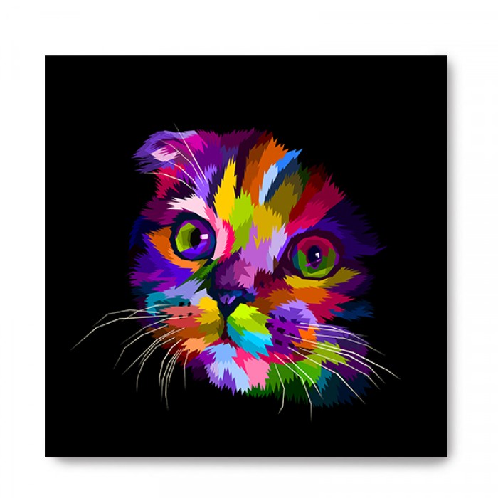 Plaquinha Gato Colorido New