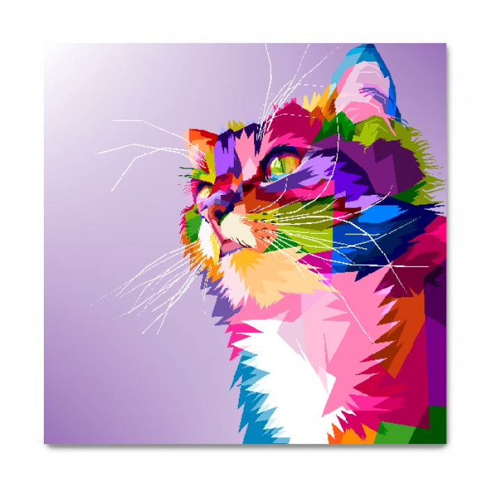 Plaquinha Gato Cores
