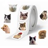 Mini Adesivos de gatinhos modelo 2