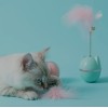 Brinquedo para gatos João bobo