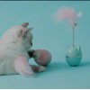 Brinquedo para gatos João bobo