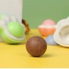 Patinha de brinquedo para gatos com Catnip natural
