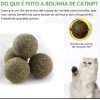 Patinha de brinquedo para gatos com Catnip natural