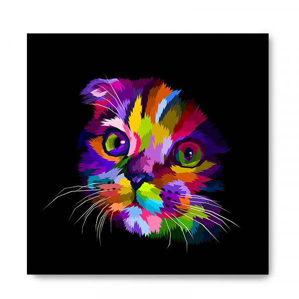 Plaquinha Gato Colorido New